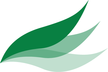 Leaf Decorative